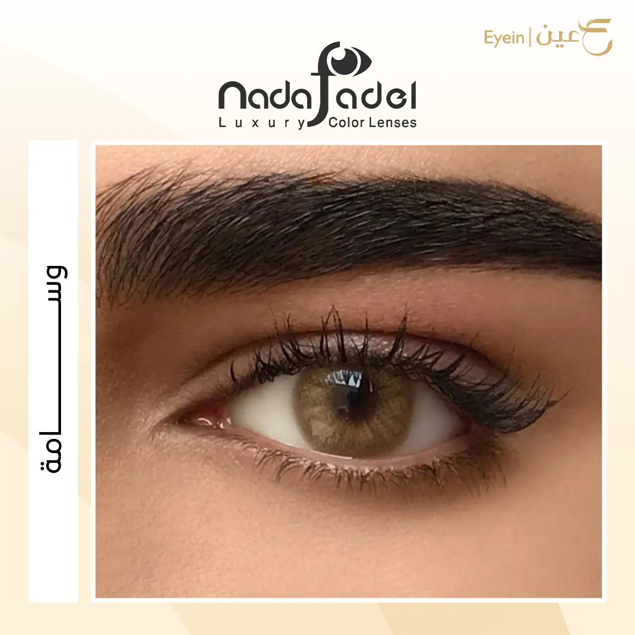عدسات بيلا - ناتشورال كول جراي